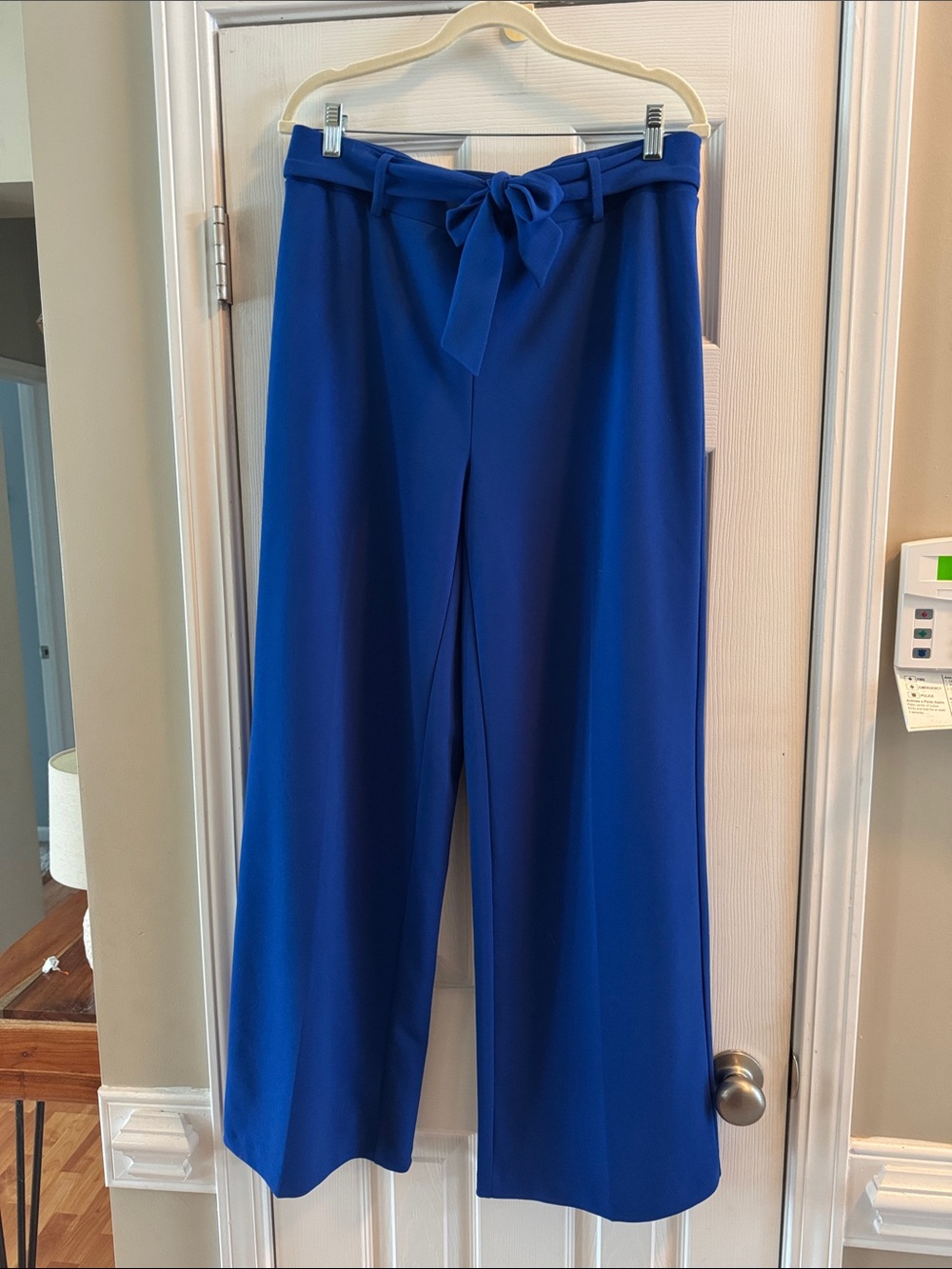 Tie-Waist Wide Leg Pants in Royal Blue